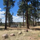 Review photo of Apache Creek Campground by Roger W., June 15, 2024