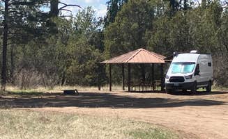 Roger W.'s photo of rv camping at Apache Creek Campground near Reserve, NM