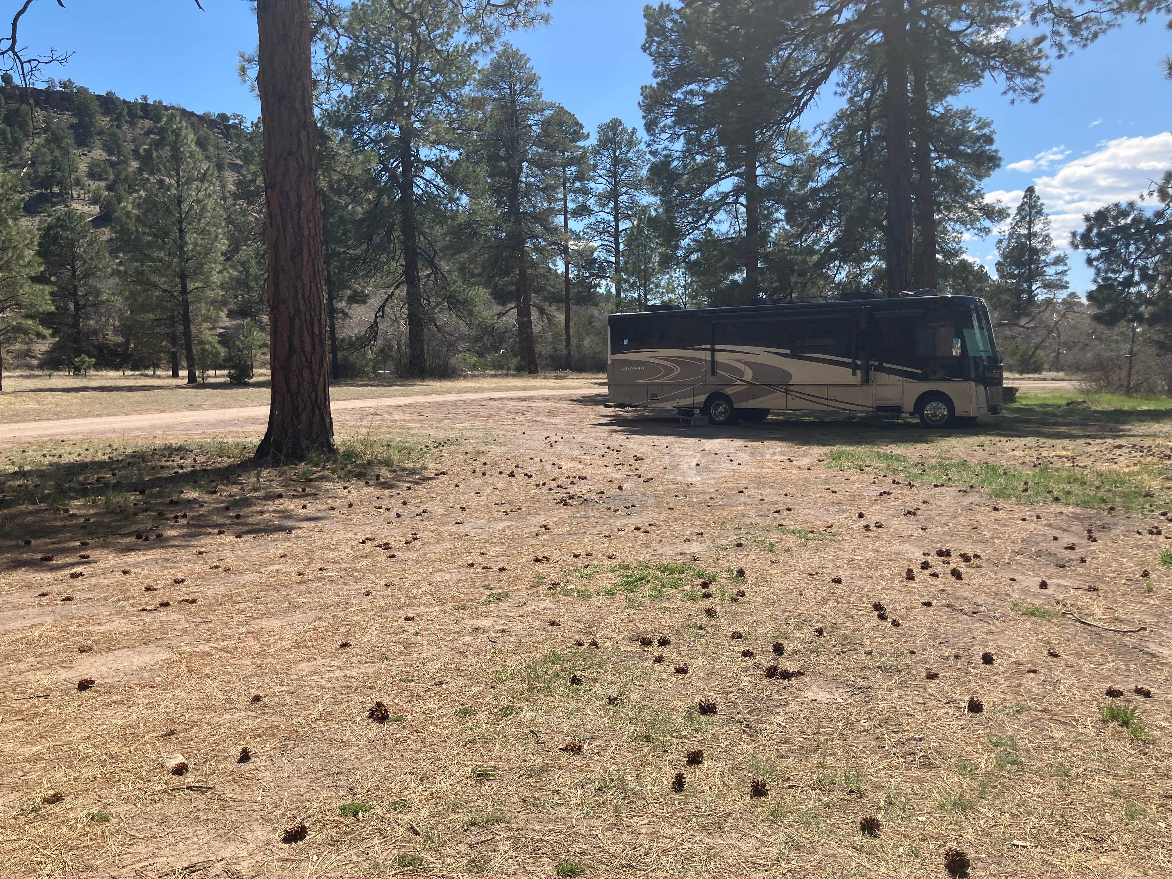 Roger W.'s photo of rv camping at Apache Creek Campground near Quemado, NM