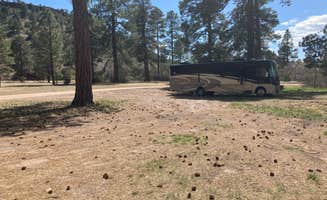 Roger W.'s photo of rv camping at Apache Creek Campground near Gila National Forest