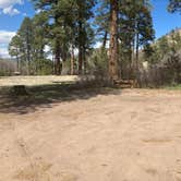 Review photo of Apache Creek Campground by Roger W., June 15, 2024