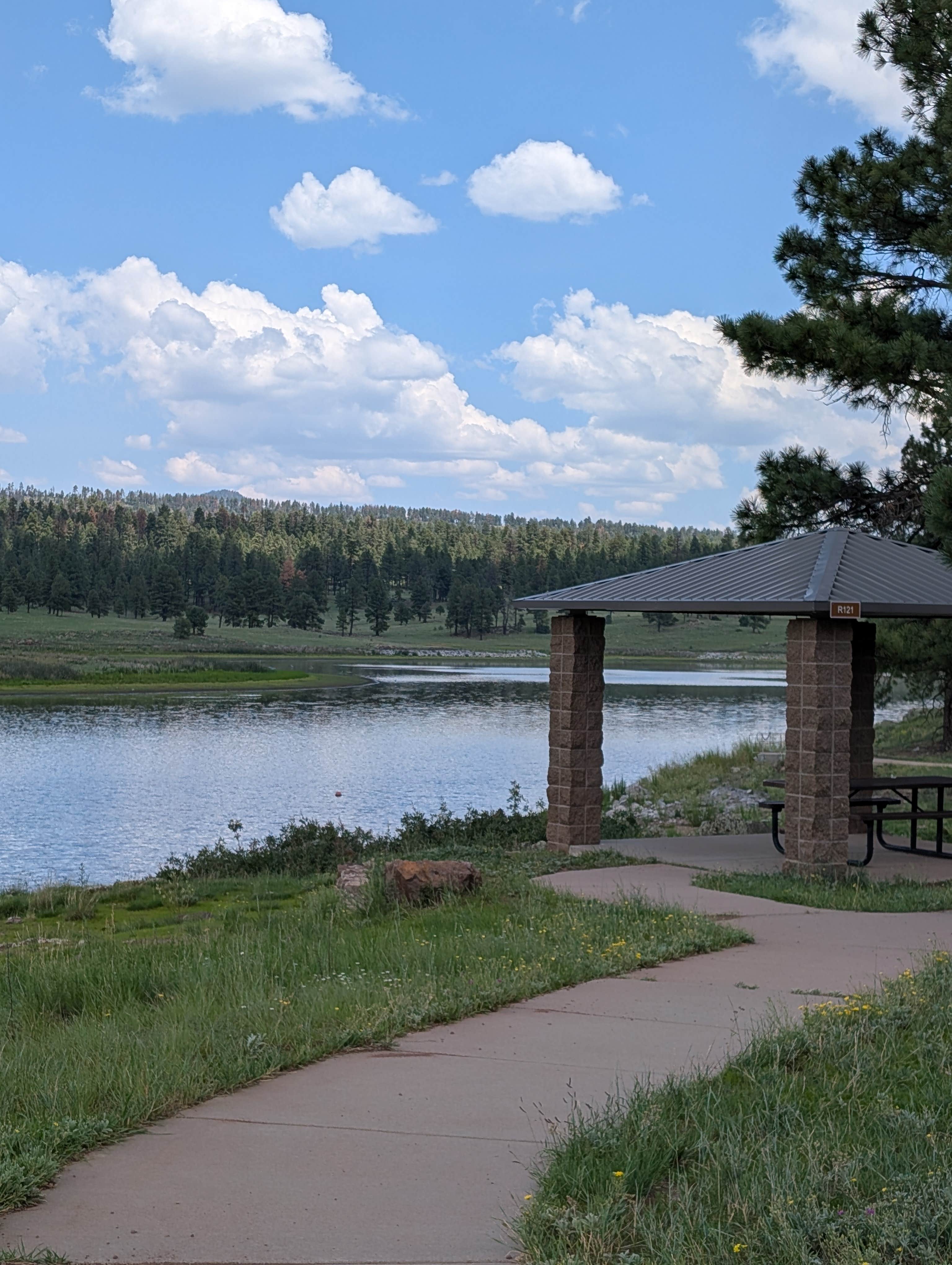 Camping near Upper Blue Campground: Apache National Forest Luna Lake Campground, Alpine, Arizona