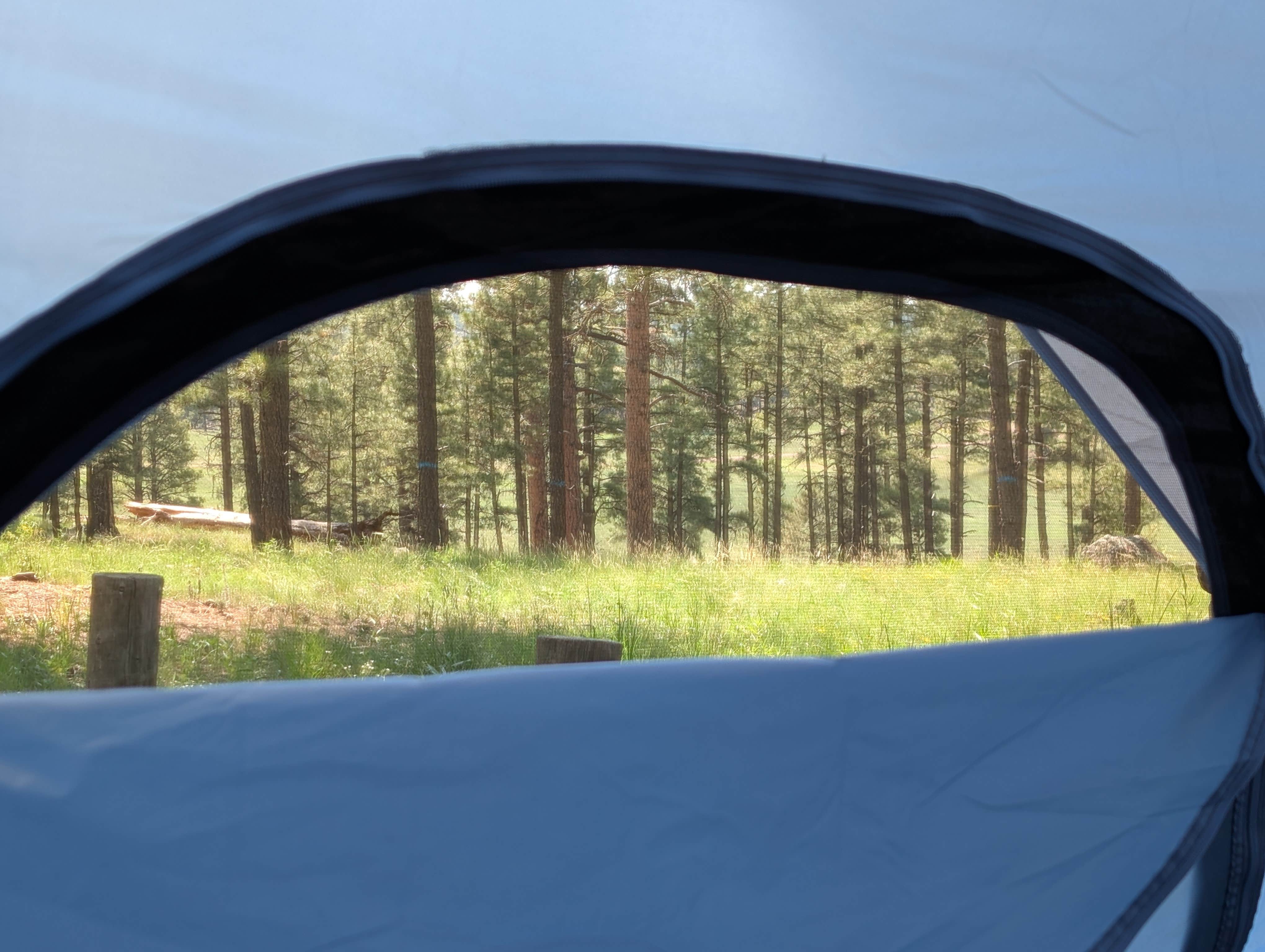 Camper-submitted photo at Apache National Forest Luna Lake Campground near Reserve, NM
