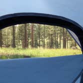 Review photo of Apache National Forest Luna Lake Campground by Fiona L., August 11, 2026