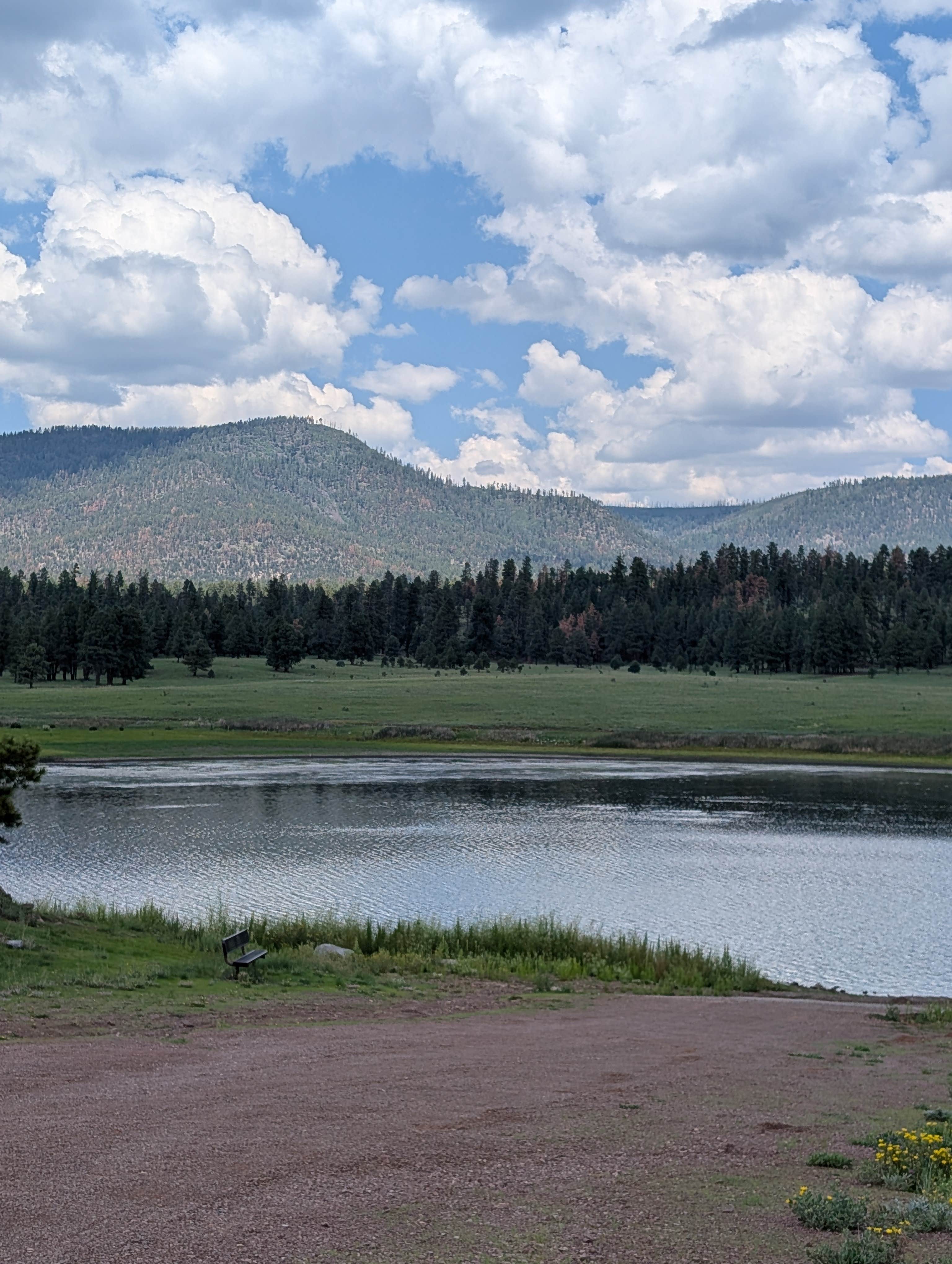 Camper-submitted photo at Apache National Forest Luna Lake Campground near Reserve, NM