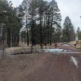 Review photo of Apache National Forest Luna Lake Campground by Vidalia S., February 5, 2026