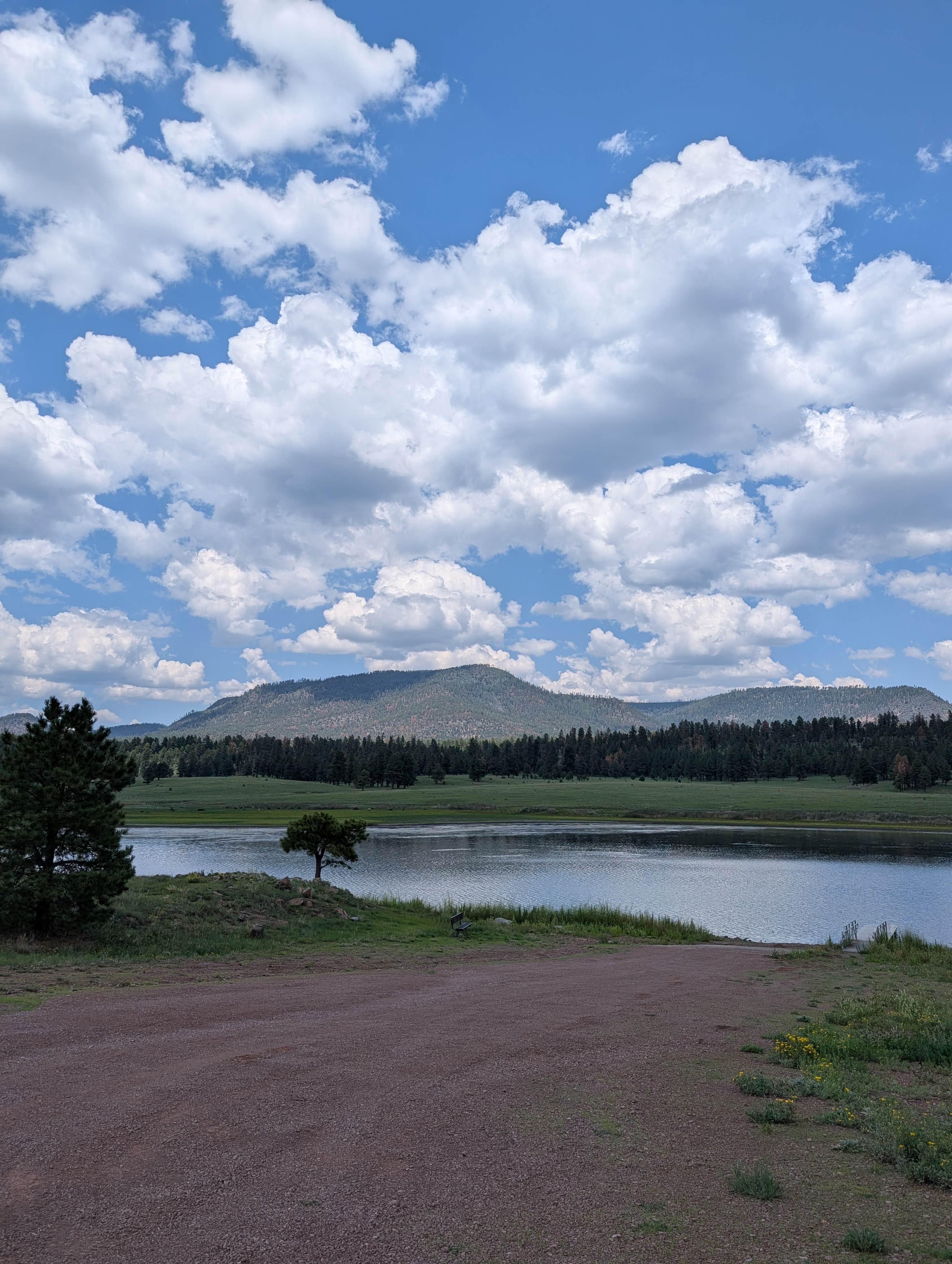 Camper-submitted photo at Apache National Forest Luna Lake Campground near Reserve, NM