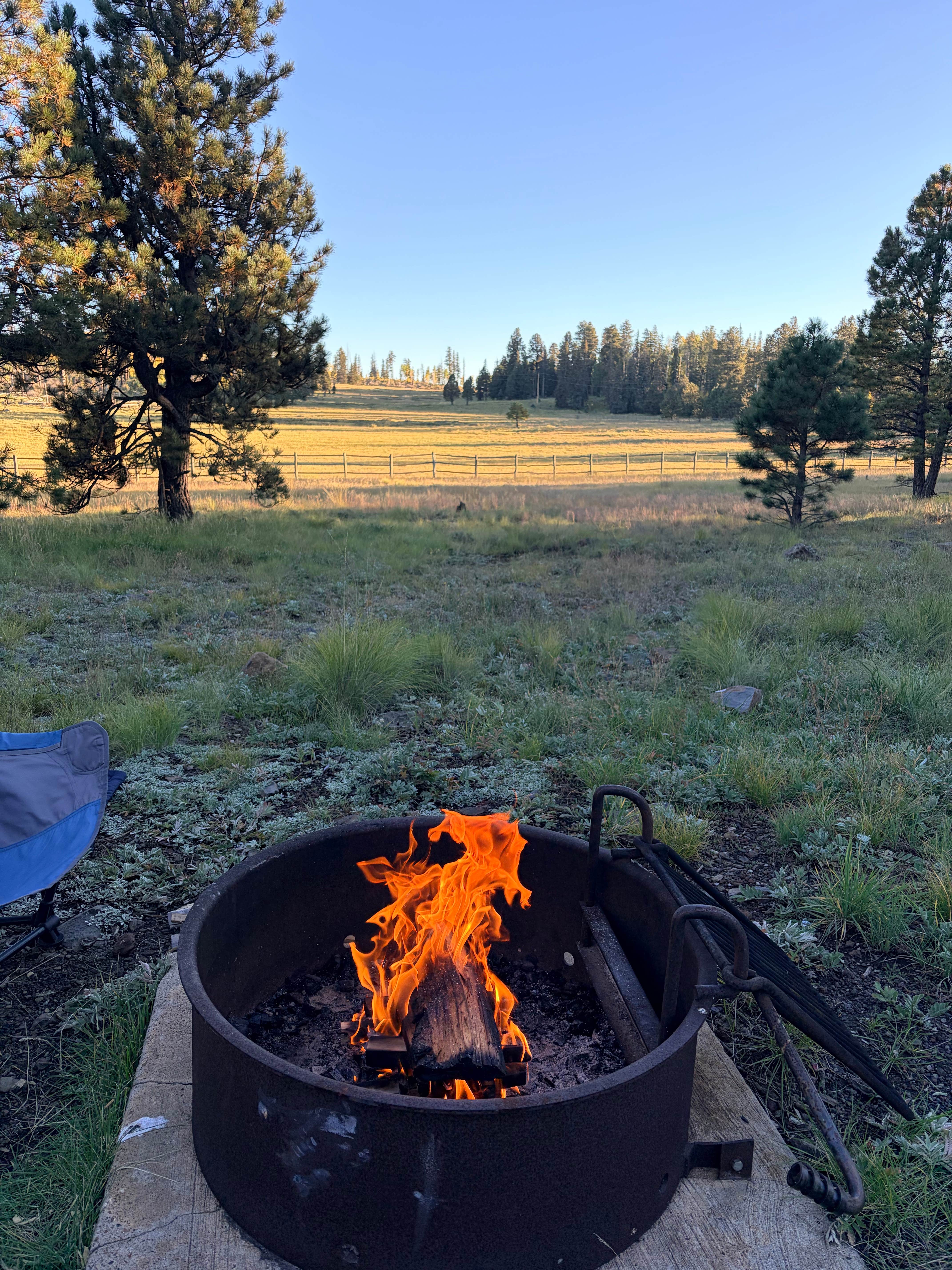 Camper-submitted photo at Apache National Forest Winn Campground near Springerville, AZ