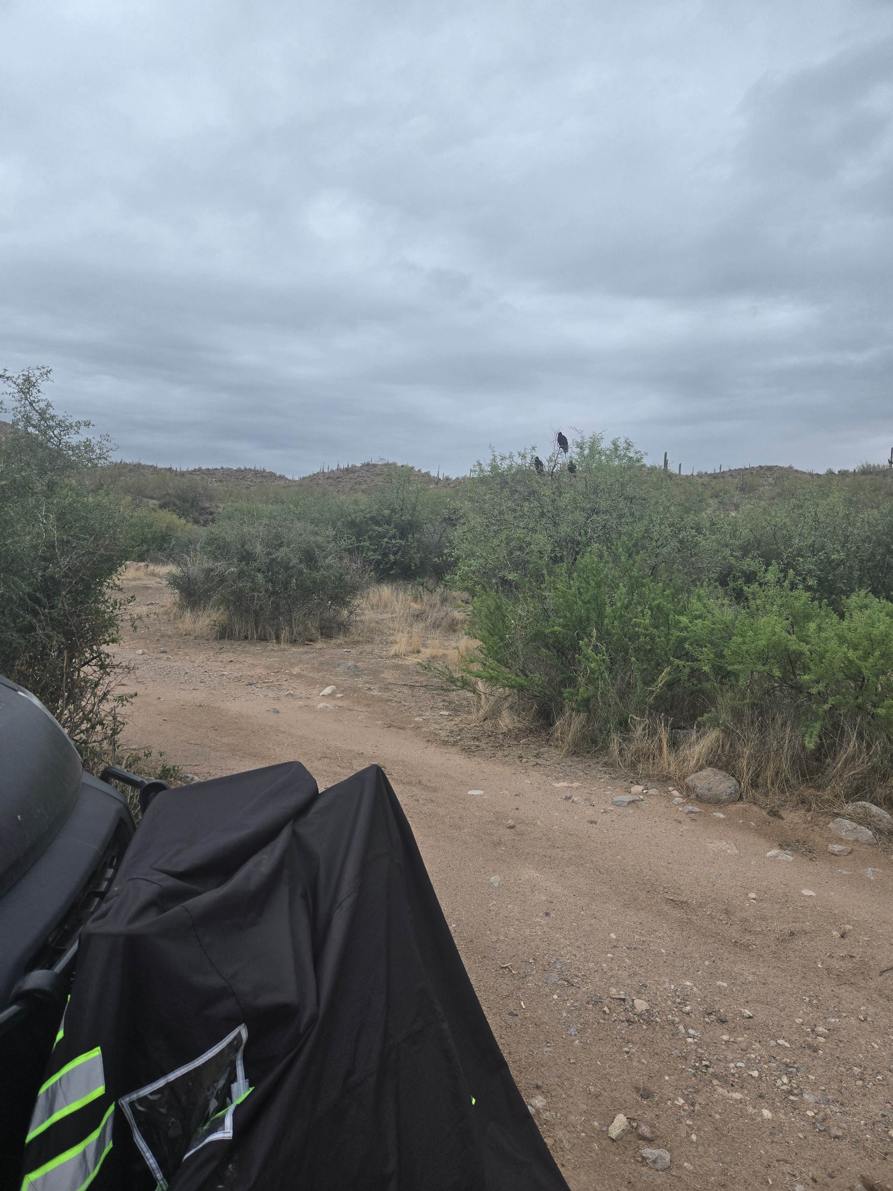 Camper submitted image from Apache Trail North Camp - 4