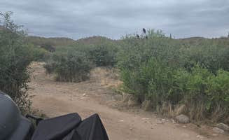 Ethan B.'s photo of a dispersed camping area at Apache Trail North Camp near Superior, AZ