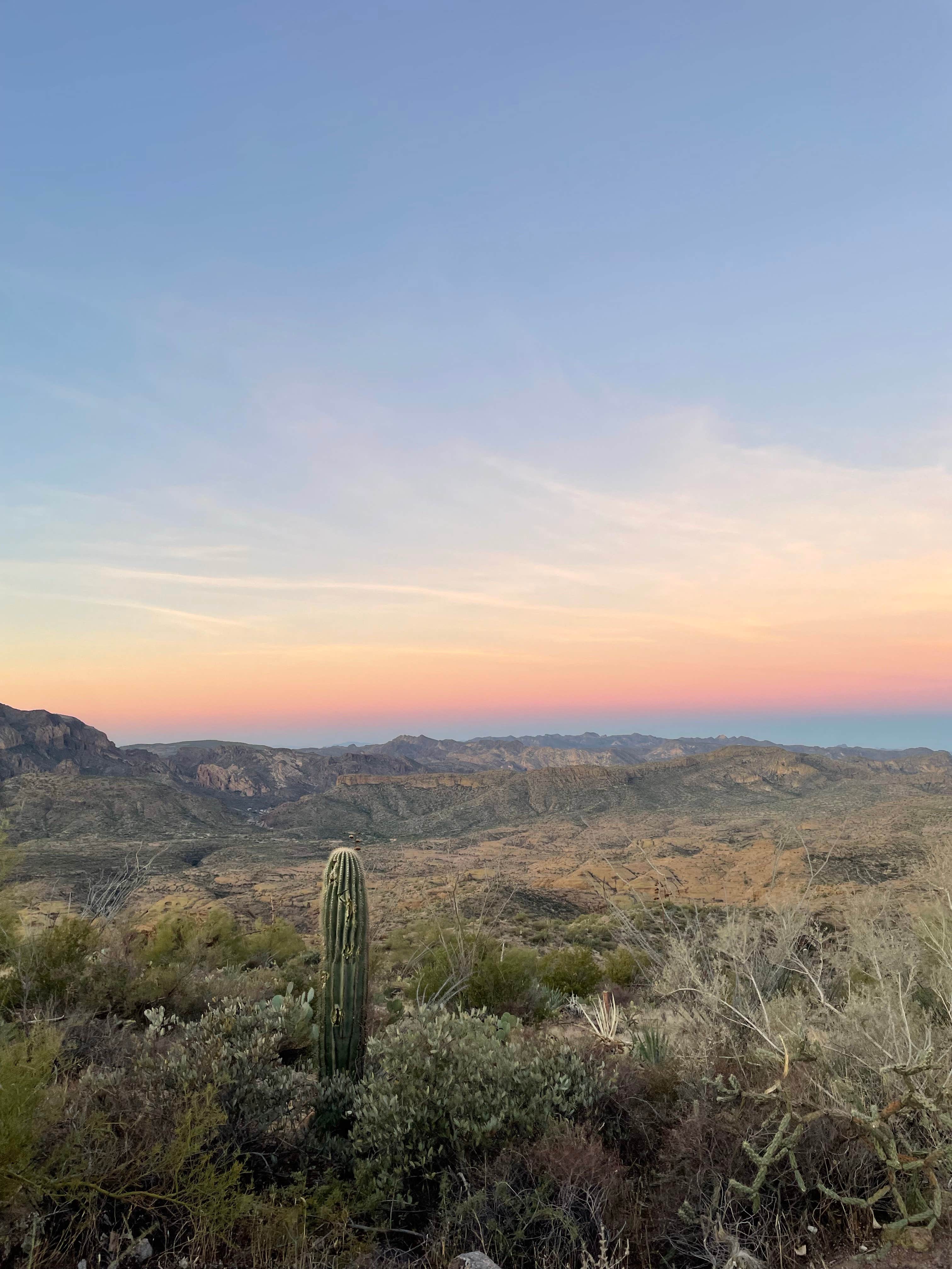 Camper submitted image from Apache Trail North Camp - 1