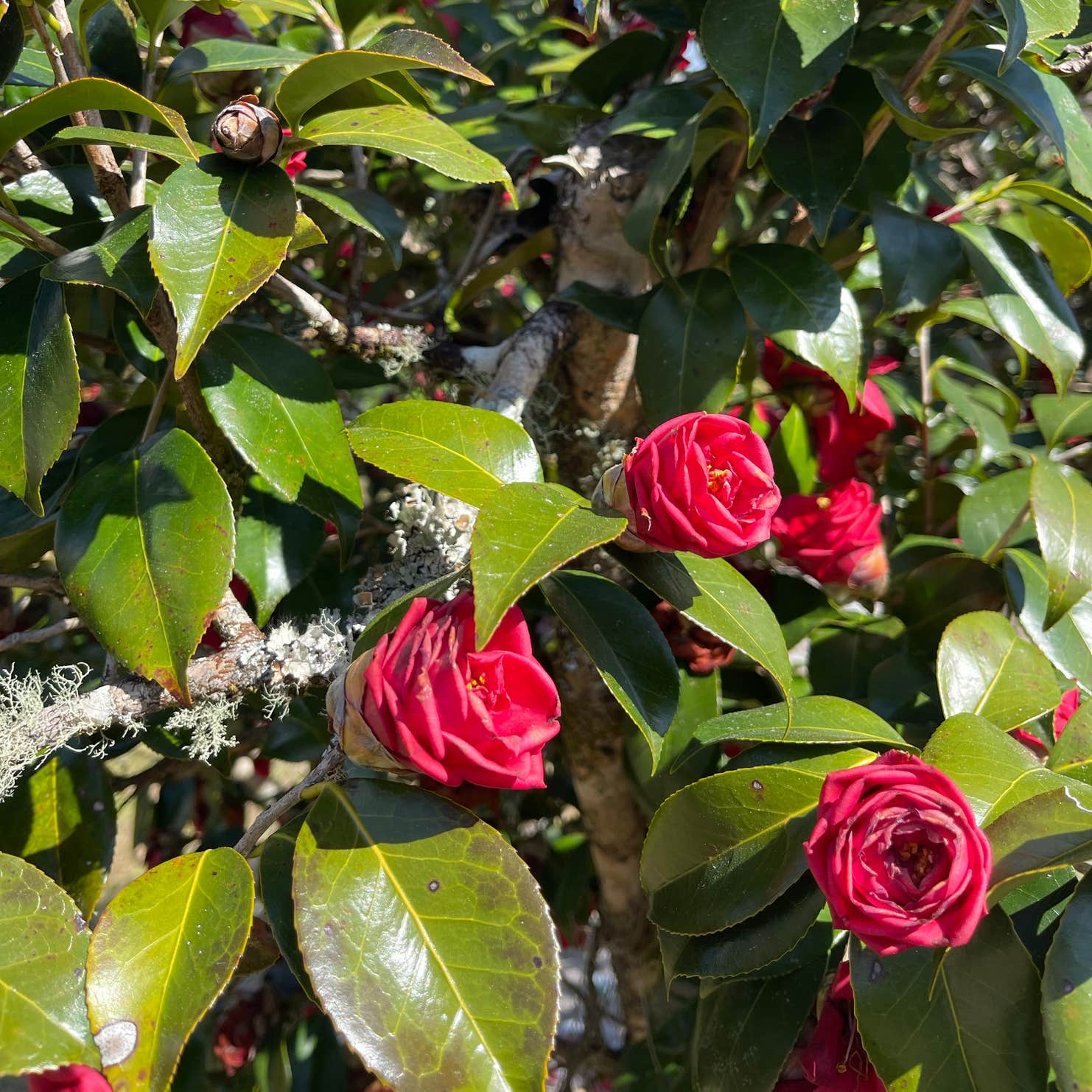 Apalachicola National Forest Porter Lake Campground Sopchoppy, FL