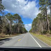 Review photo of Apalachicola National Forest Porter Lake Campground by Lexi W., February 8, 2024