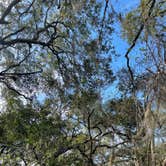 Review photo of Apalachicola National Forest Porter Lake Campground by Lexi W., February 8, 2024