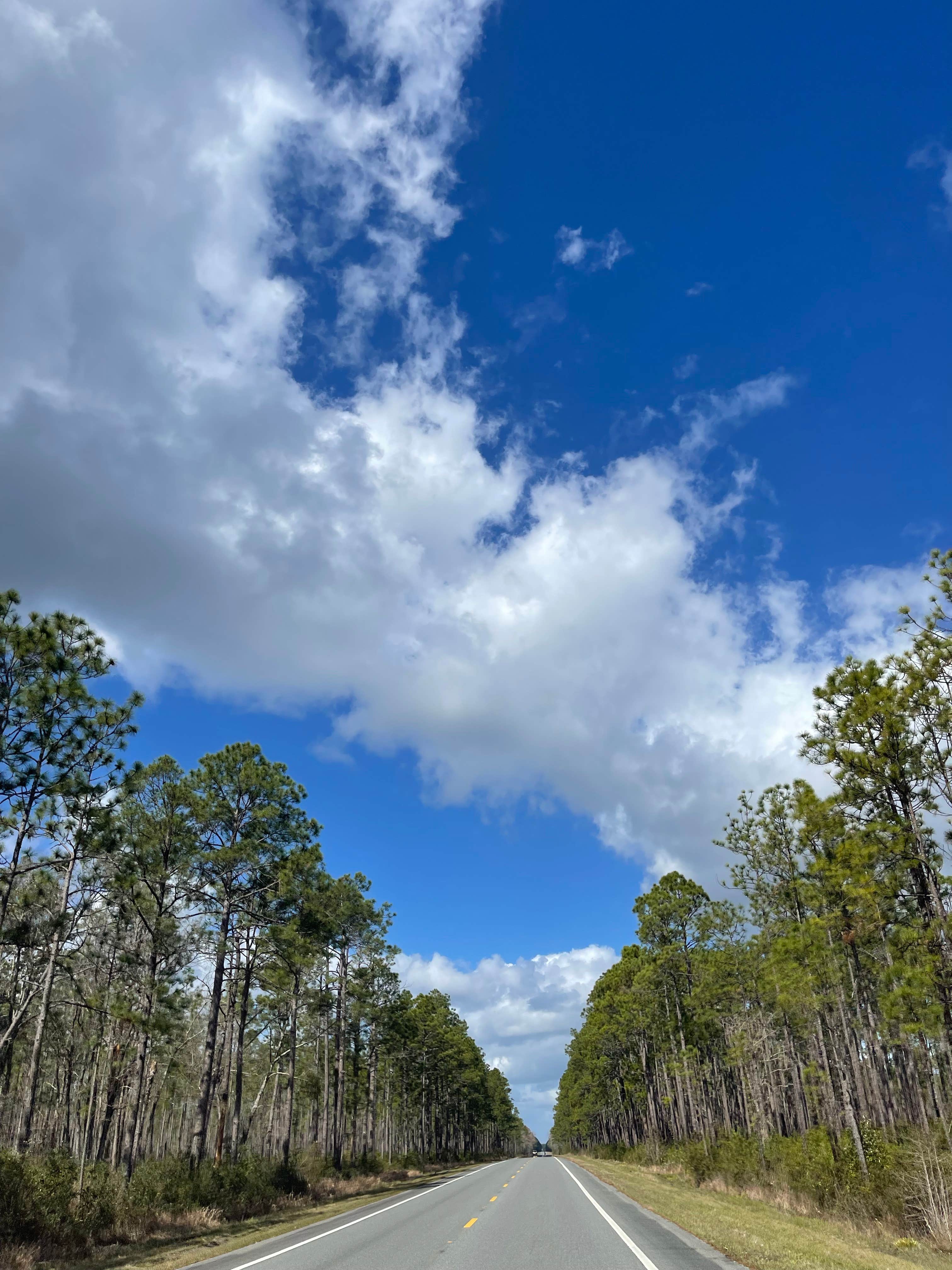 Camper submitted image from Apalachicola National Forest Porter Lake Campground - 3