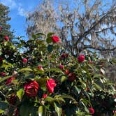 Review photo of Apalachicola National Forest Porter Lake Campground by Lexi W., February 8, 2024