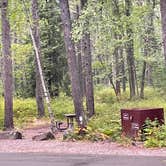 Review photo of Apgar Campground — Glacier National Park by Lainey P., August 30, 2026
