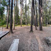 Review photo of Apgar Campground — Glacier National Park by Lainey P., August 30, 2026