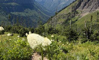 David R.'s photo of camping with pets at Apgar Campground — Glacier National Park near Polebridge, MT