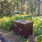 Review photo of Apgar Campground — Glacier National Park by Lainey P., August 30, 2026