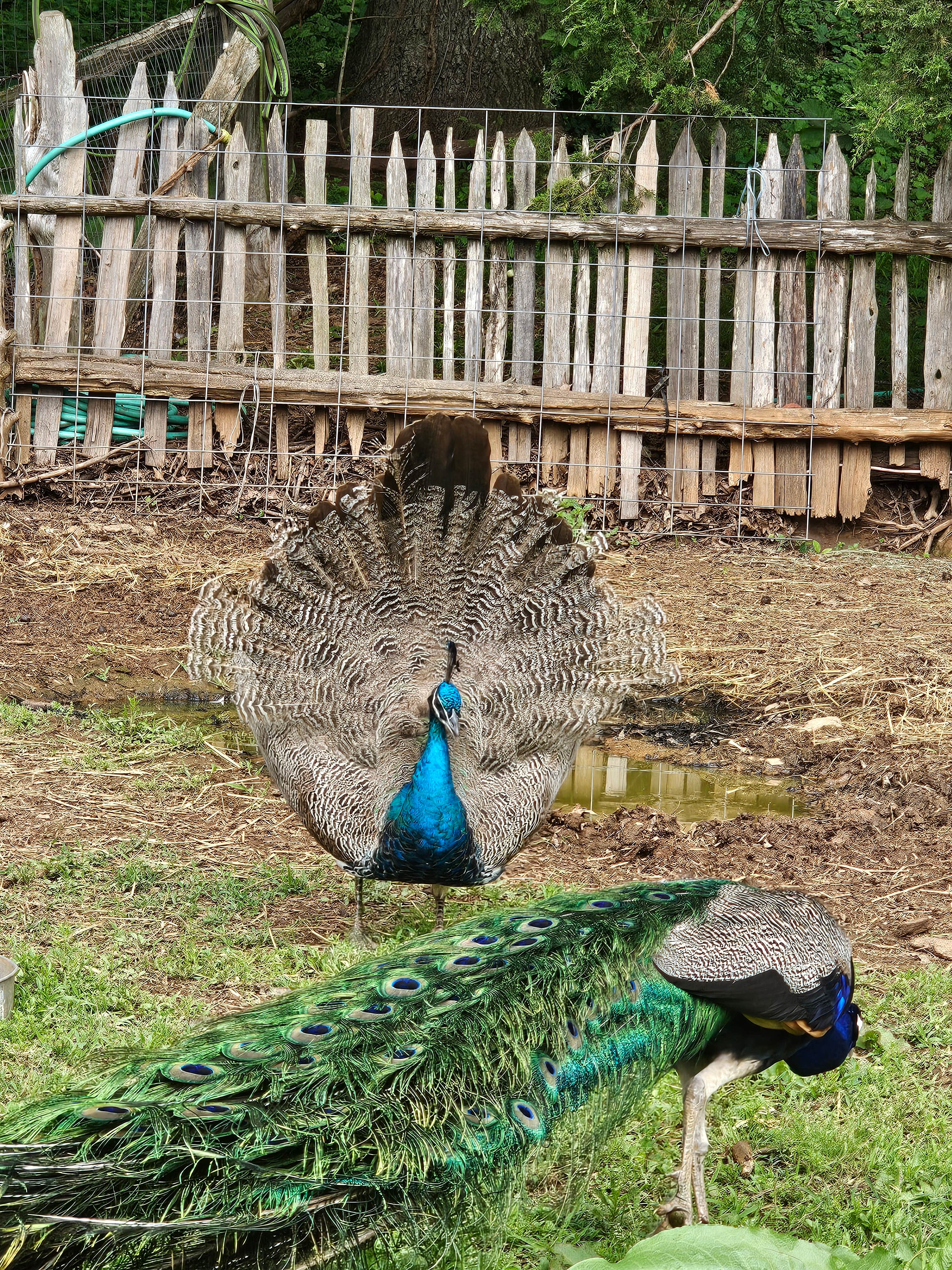 Camper-submitted photo at Appalachia Ridge near La Follette, TN