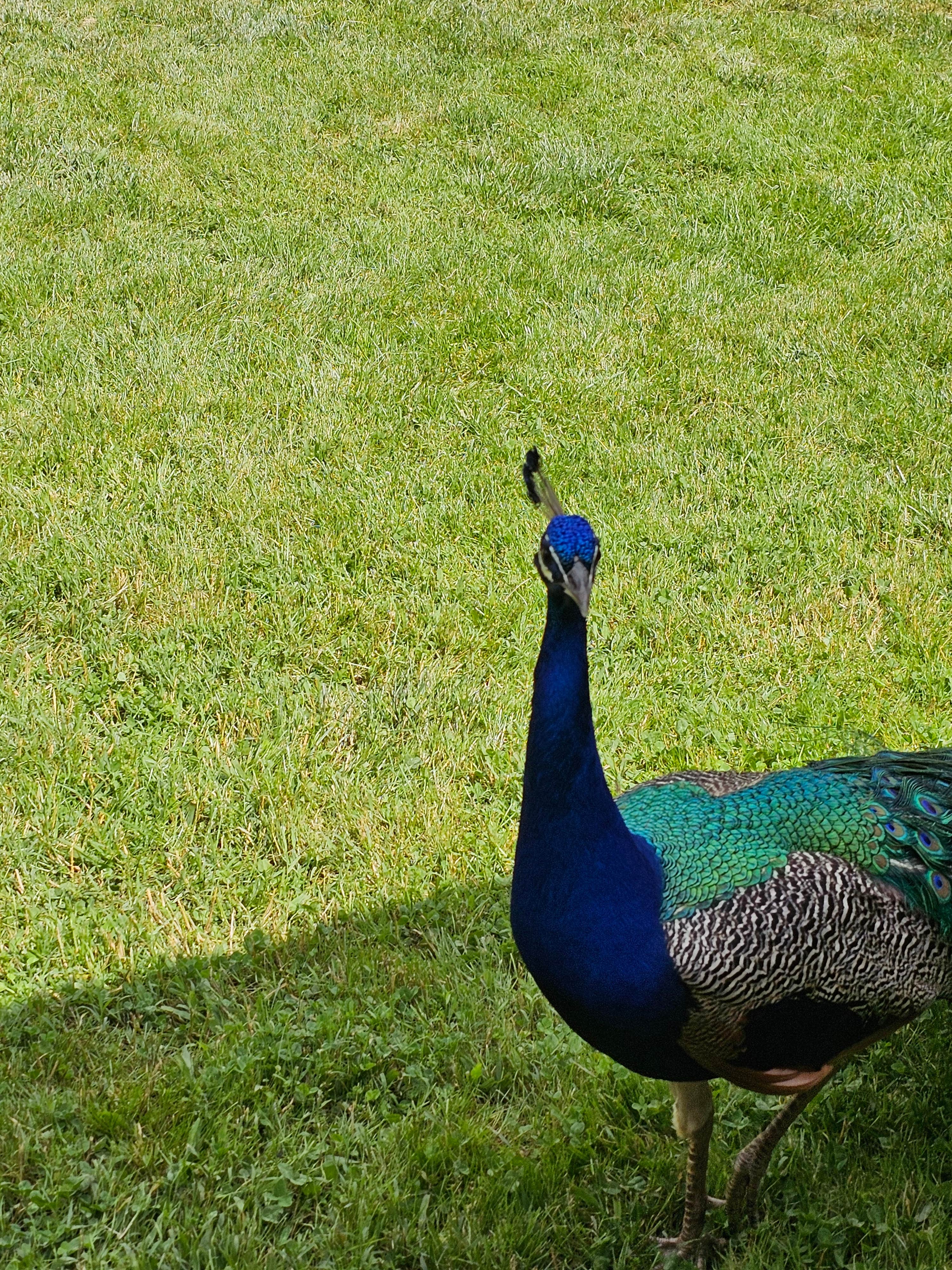Camper-submitted photo at Appalachia Ridge near La Follette, TN