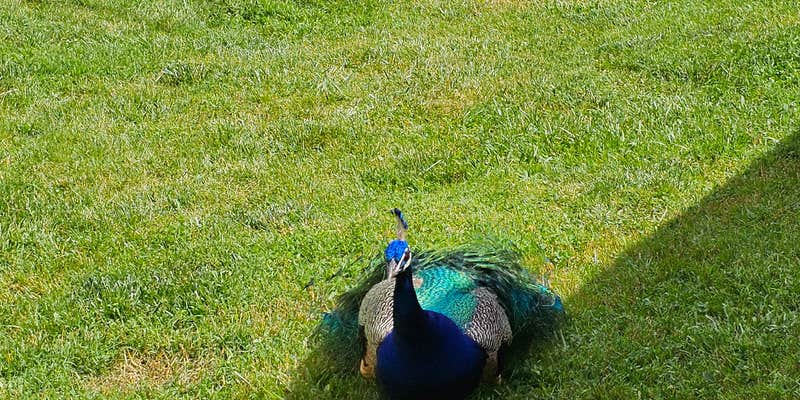 Camper submitted image from Appalachia Ridge