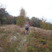 Review photo of Appalachian Trail- Designated Backpacker Campsite 2 by Sue B., April 17, 2026