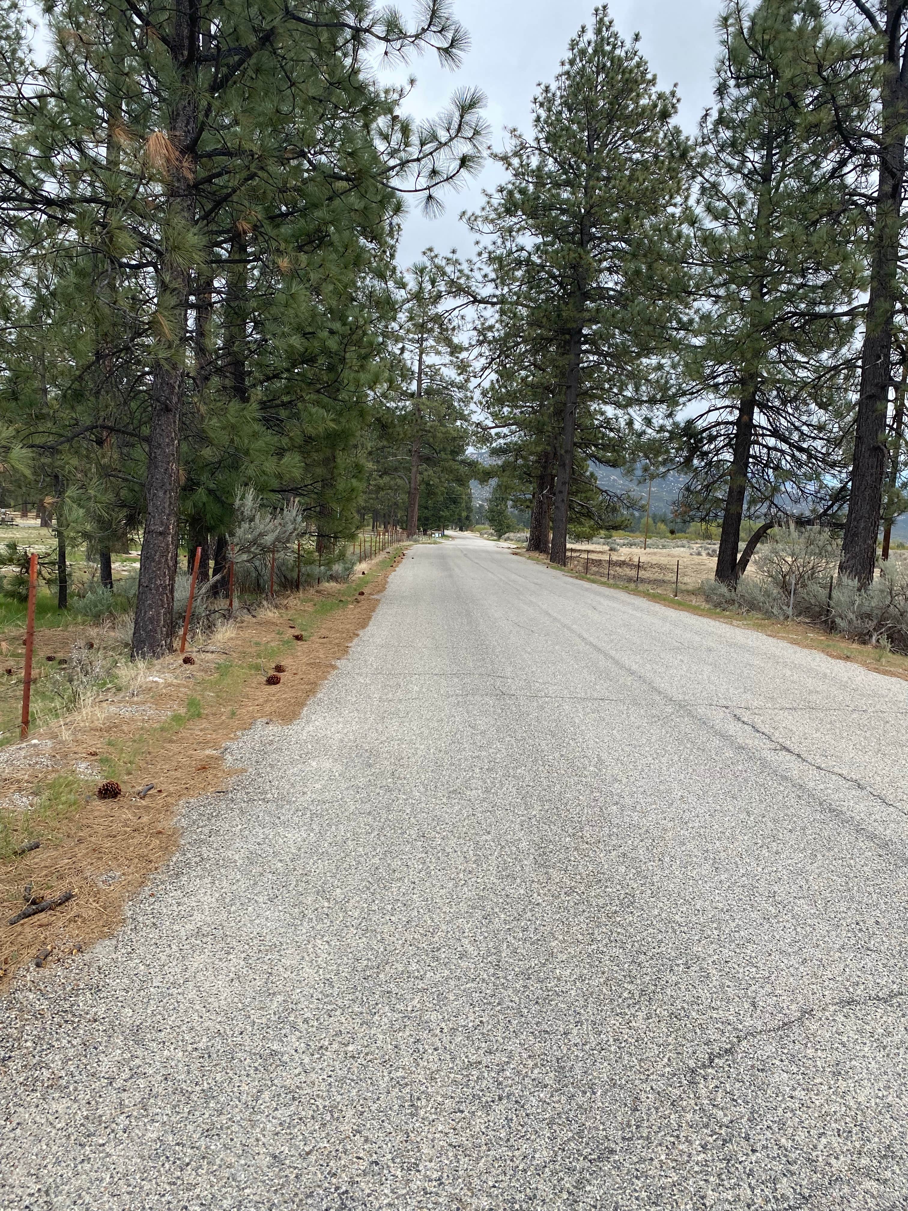 Camper submitted image from Apple Canyon Yellowpost - 2