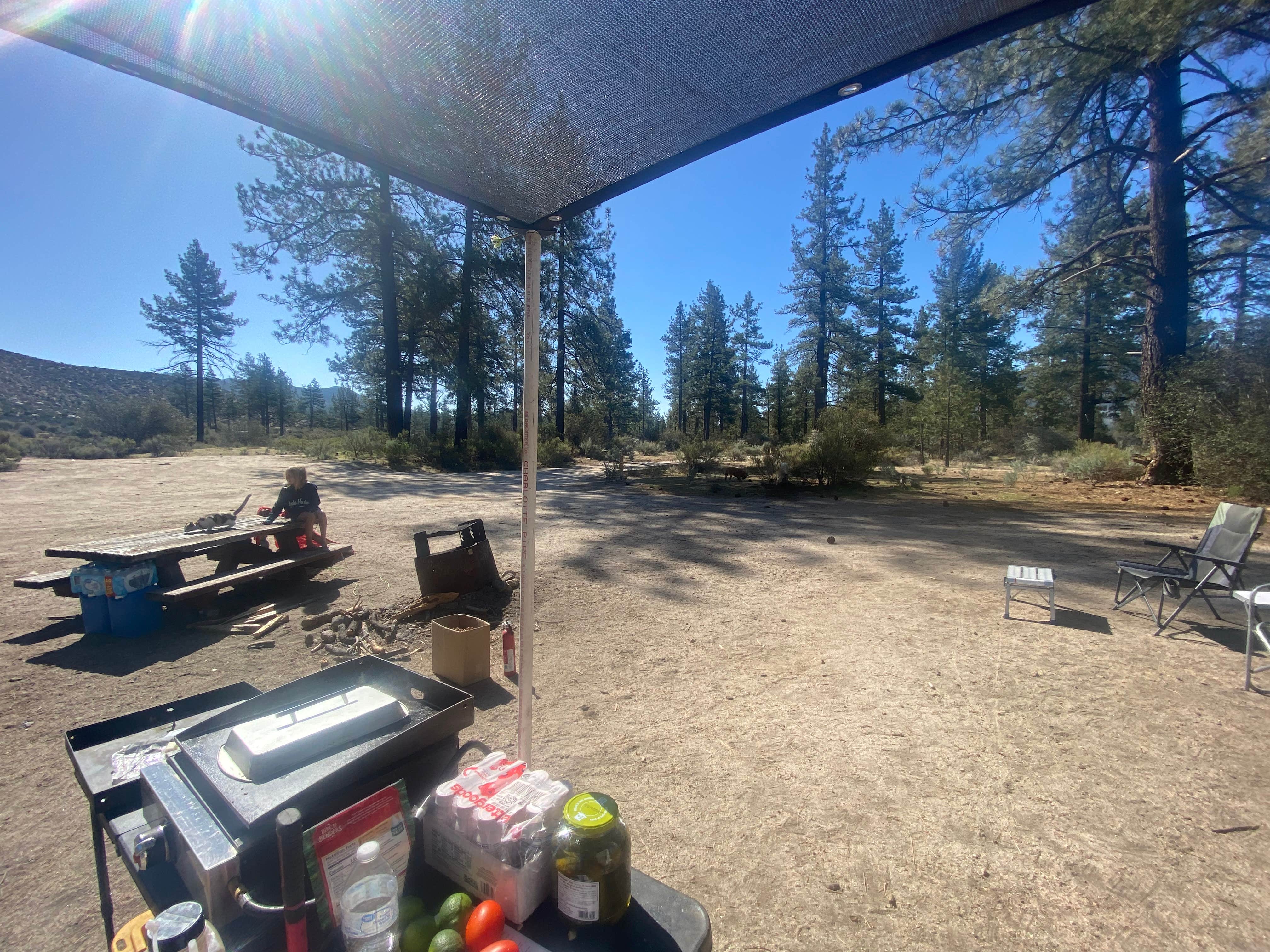 Camper submitted image from Apple Canyon Yellowpost - 4