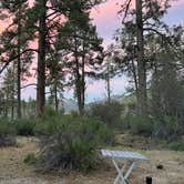 Review photo of Apple Canyon Yellowpost by Jacob S., March 30, 2026