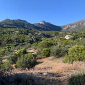 Review photo of Apple Canyon Yellowpost by Beverley G., May 21, 2026