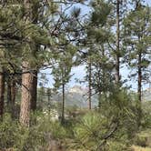 Review photo of Apple Canyon Yellowpost by Jacob S., March 30, 2026