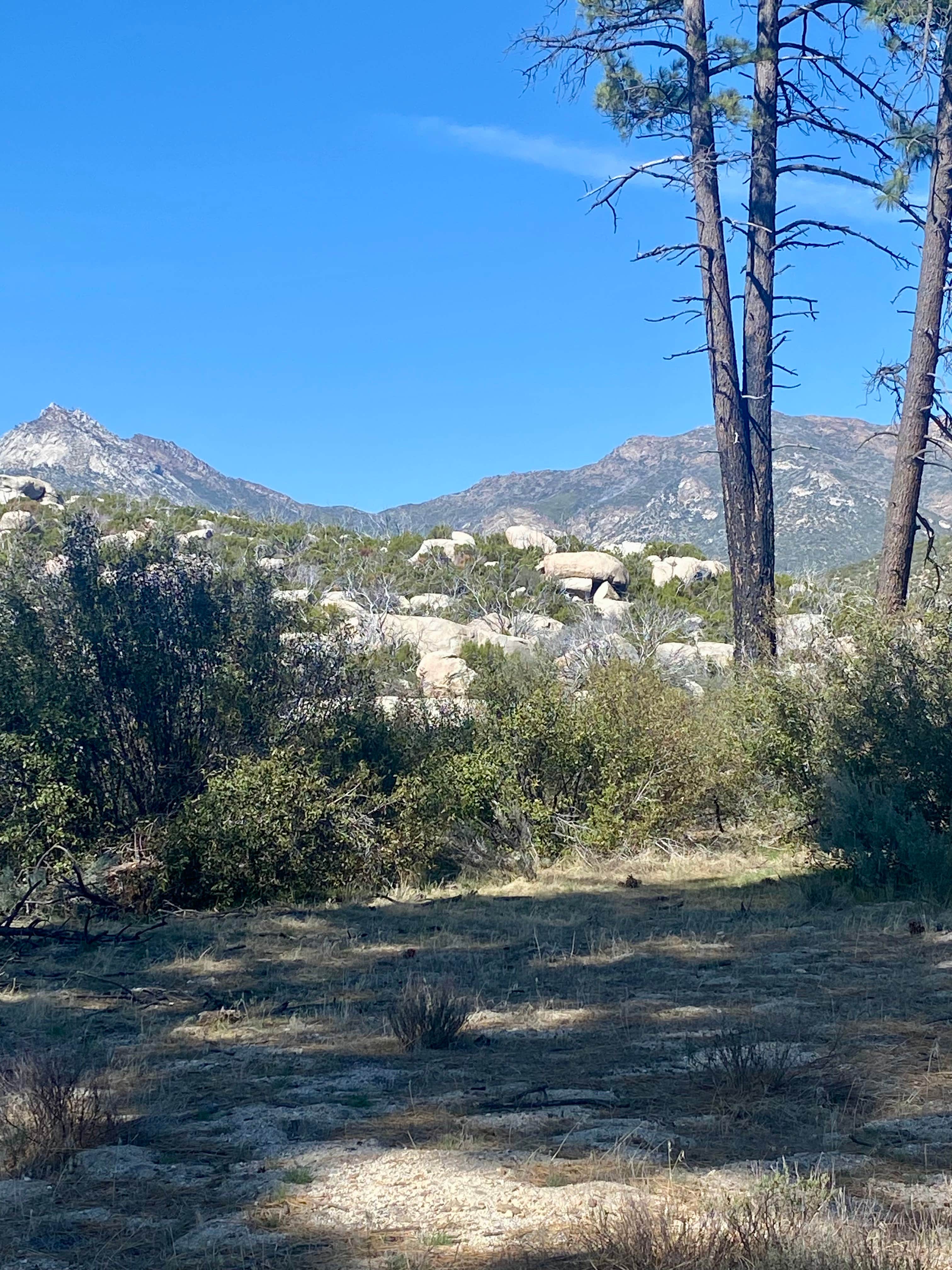 Camping near Lake Hemet Campground: Apple Canyon Yellowpost, Mountain Center, California