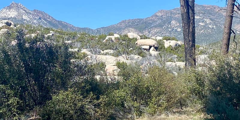 Camper submitted image from Apple Canyon Yellowpost