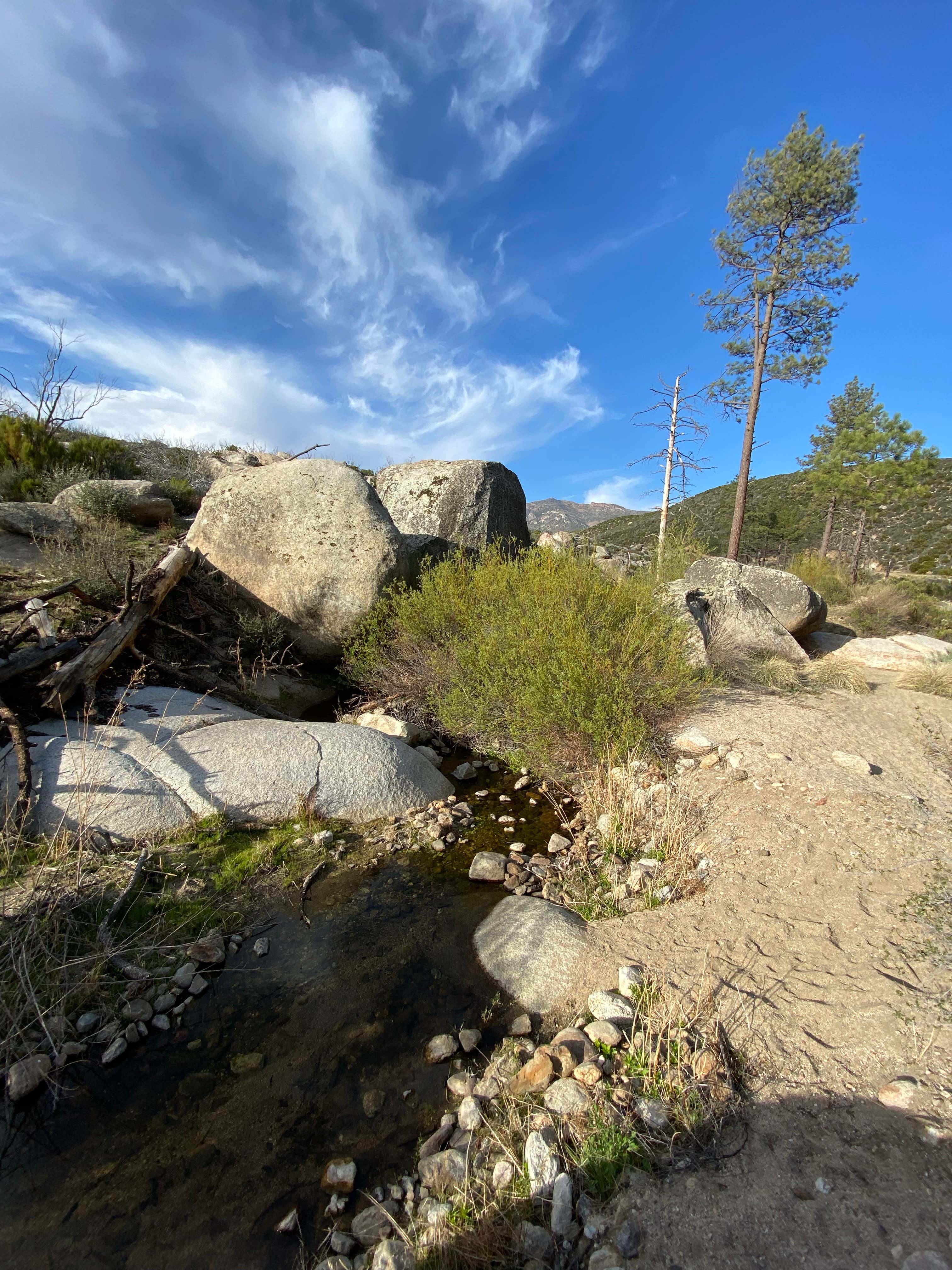 Camper submitted image from Apple Canyon Yellowpost - 4