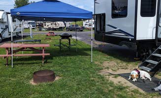 Dave M.'s photo of camping with pets at Apple Island Resort near Jericho, VT