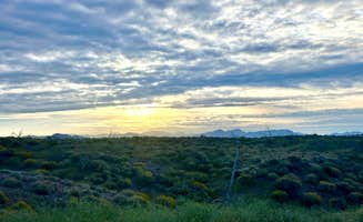 C L.'s photo of a dispersed camping area at AR-LO Trail near Phoenix, AZ