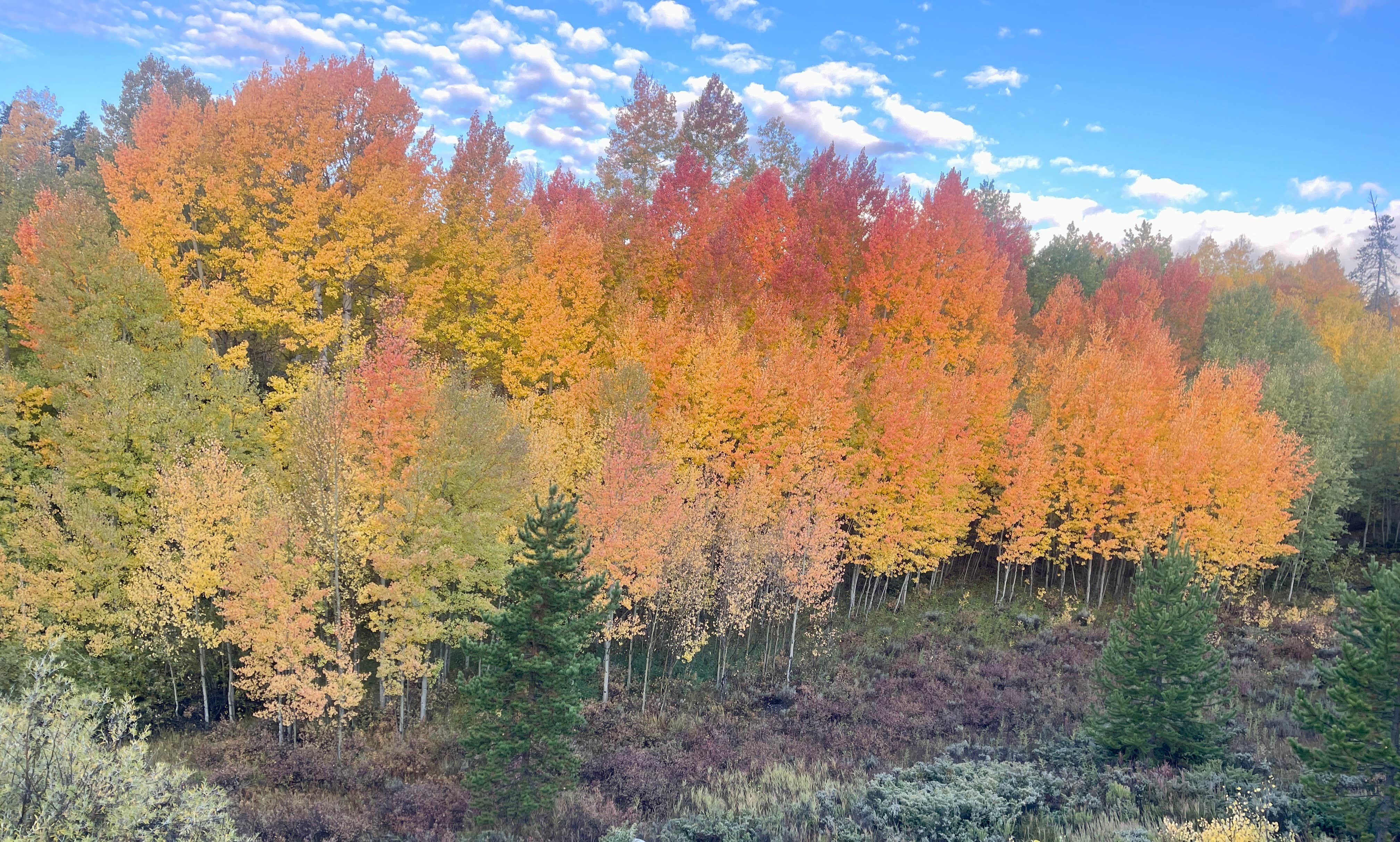 Camper-submitted photo at Arapaho National Forest Stillwater Campground near Rand, CO