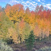 Review photo of Arapaho National Forest Stillwater Campground by Adam  B., September 25, 2025