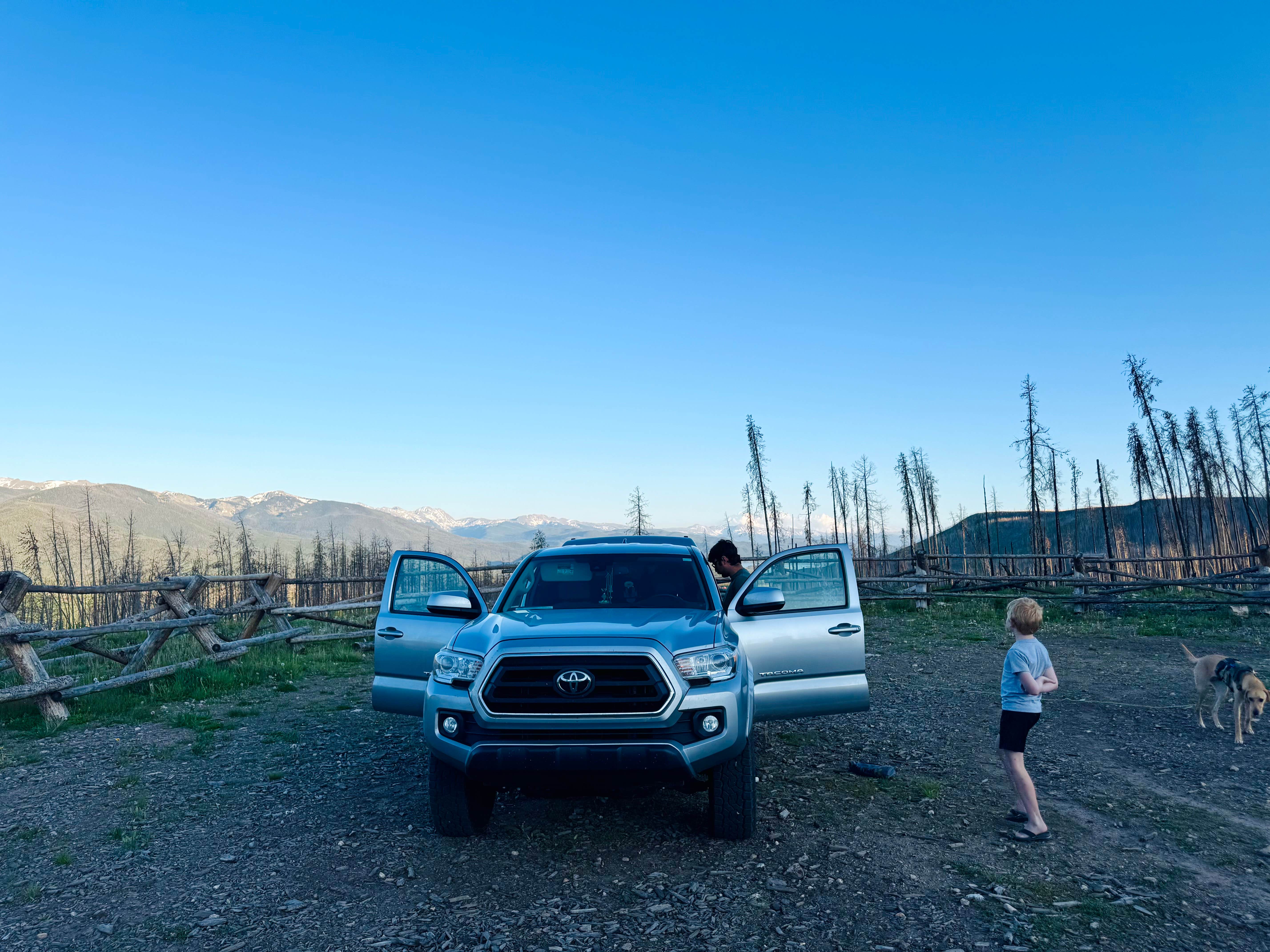 Aly E.'s photo of camping with pets at NFSR 120 Dispersed Site - Arapaho National Forest near Gould, CO