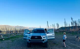 Aly E.'s photo of camping with pets at NFSR 120 Dispersed Site - Arapaho National Forest near Rocky Mountain National Park