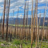 Review photo of NFSR 120 Dispersed Site - Arapaho National Forest by johny R., July 3, 2025