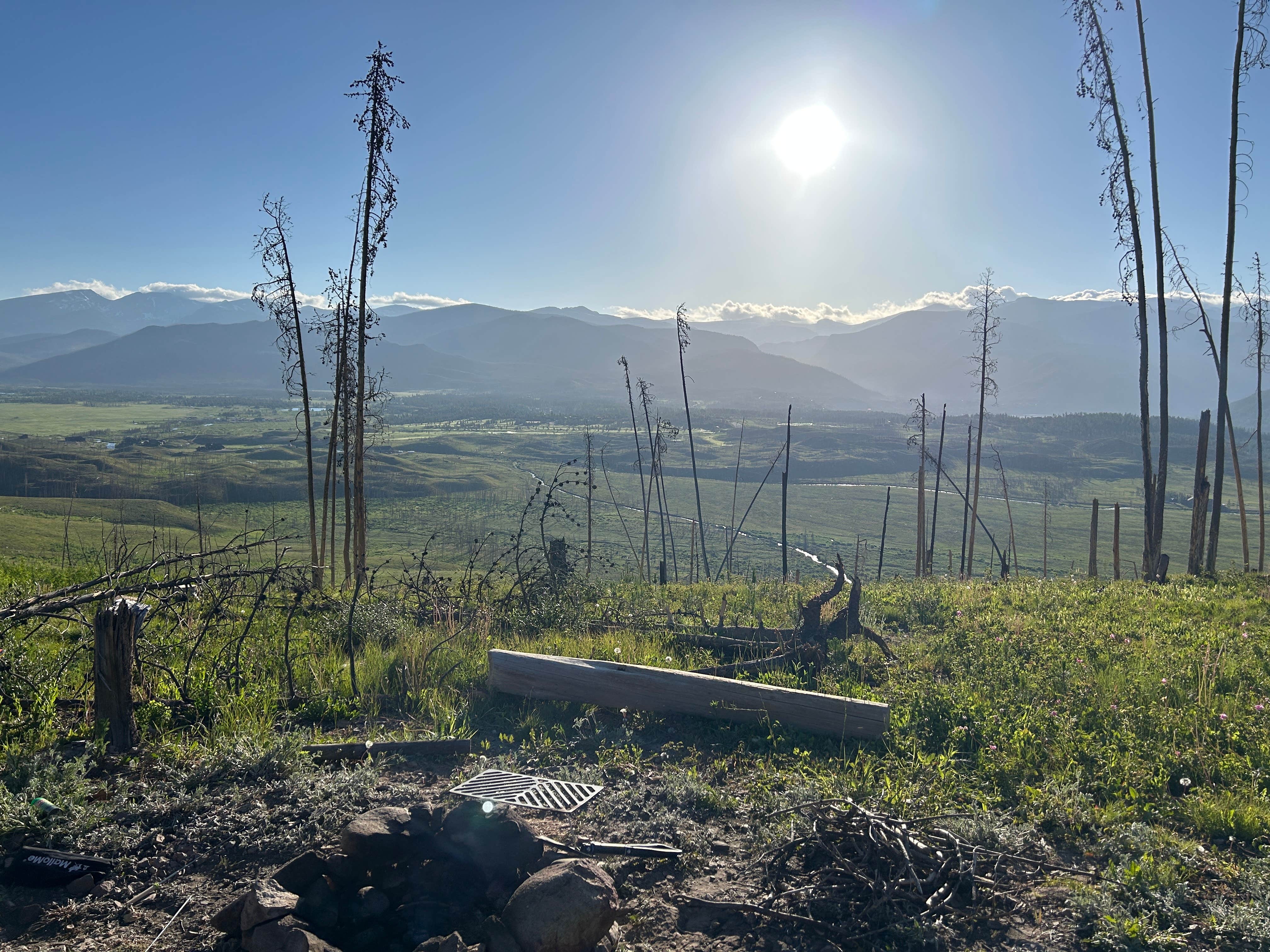 Camper submitted image from NFSR 120 Dispersed Site - Arapaho National Forest - 1