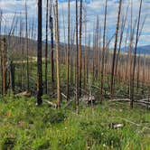 Review photo of NFSR 120 Dispersed Site - Arapaho National Forest by johny R., July 3, 2025
