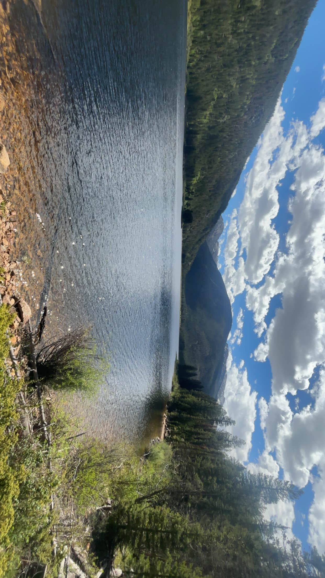 Water