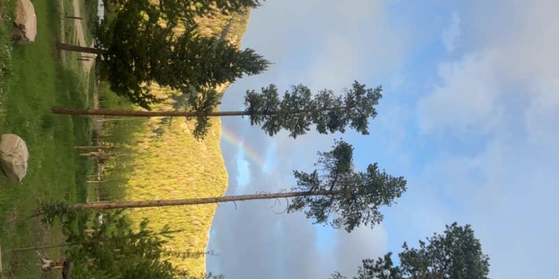 Camper submitted image from Arapaho Valley Ranch