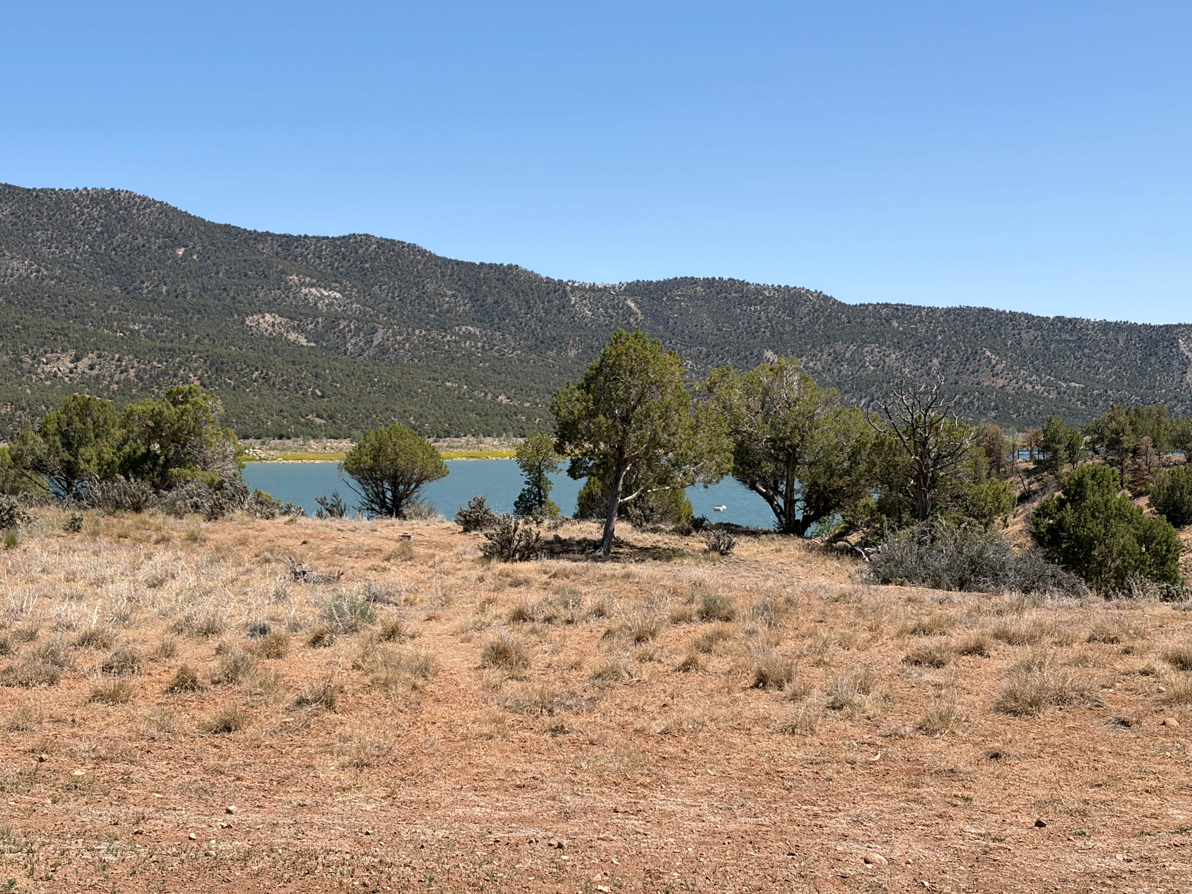Camping near Sims Mesa Campground — Navajo Lake State Park: Arboles Point Campground — Navajo State Park, Arboles, Colorado