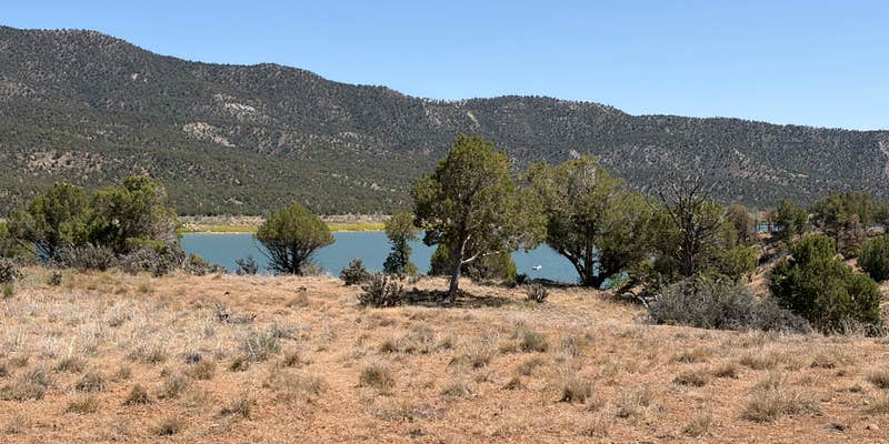 Camper submitted image from Arboles Point Campground — Navajo State Park