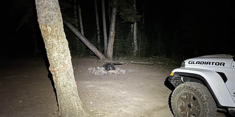 Camper submitted image from Curtis Creek / Arbs Basin